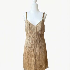 Bottega Veneta Runway Fringe Dress – Fall 2007 | Rare